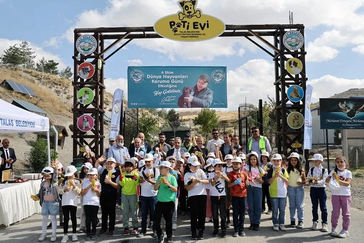 Can dostların huzurlu yuvası Kayseri Talas Pati Evi