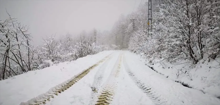 Salıpazarı