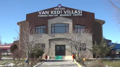 Van Kedi Villası