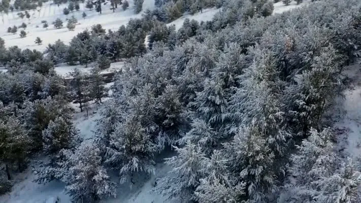  Dondurucu soğukta yazılan destan: Sarıkamış Harekatı