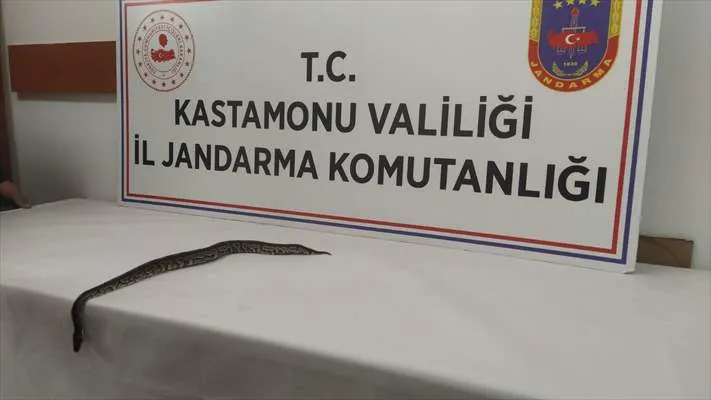 Kastamonu