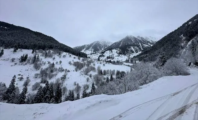 Artvin ve Gümüşhane