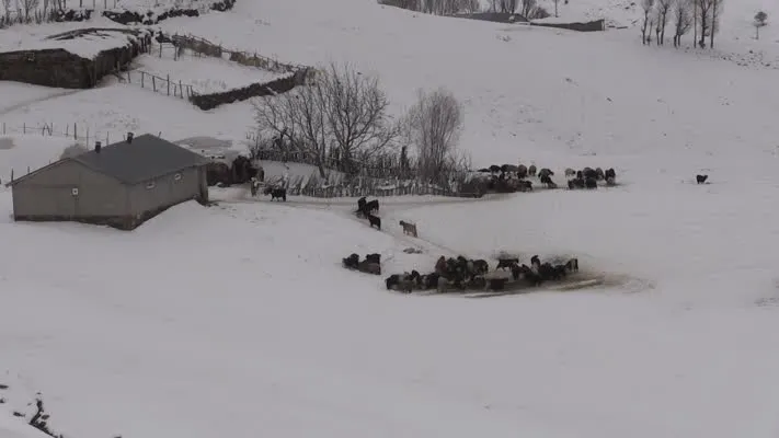 Yüksek kesimdeki köyler karla kaplandı