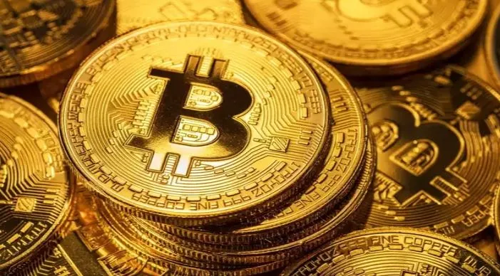 “Bitcoin, dijital altın olmaya her yıl daha da yaklaşıyor