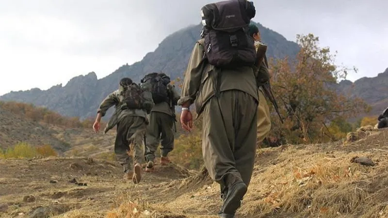 Japonya istihbaratı, PKK