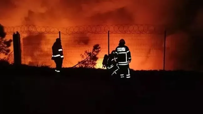 Lojistik firmasının deposunda yangın