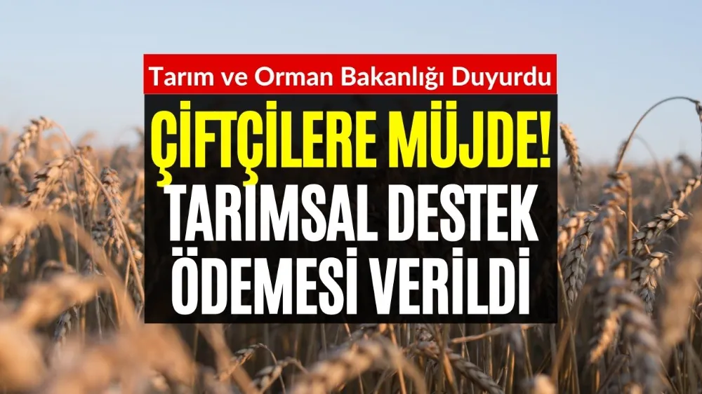 Aralık Ayının 2. Tarımsal Destek Ödemesi! Çiftçiler Mutlu Olacak