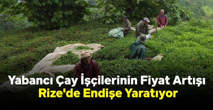 Yabancı Çay İşçilerinin Fiyat Artışı Rize