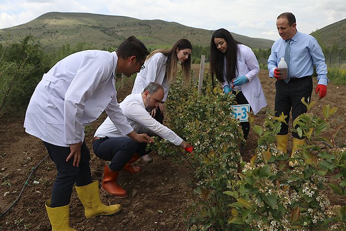 Bayburt