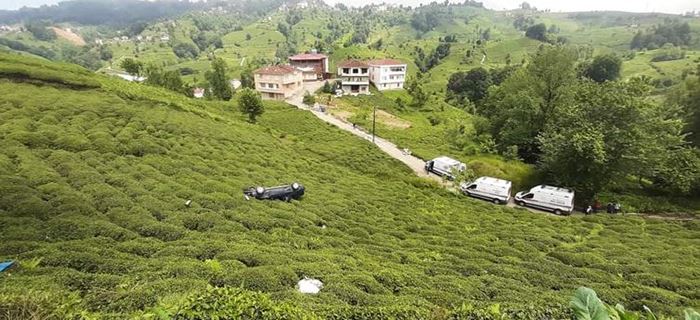 RİZE’DE ARAÇ ÇAY TARLASINA YUVARLANDI, YARALILAR VAR