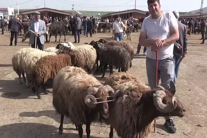 Erzurum ve Doğu Anadolu