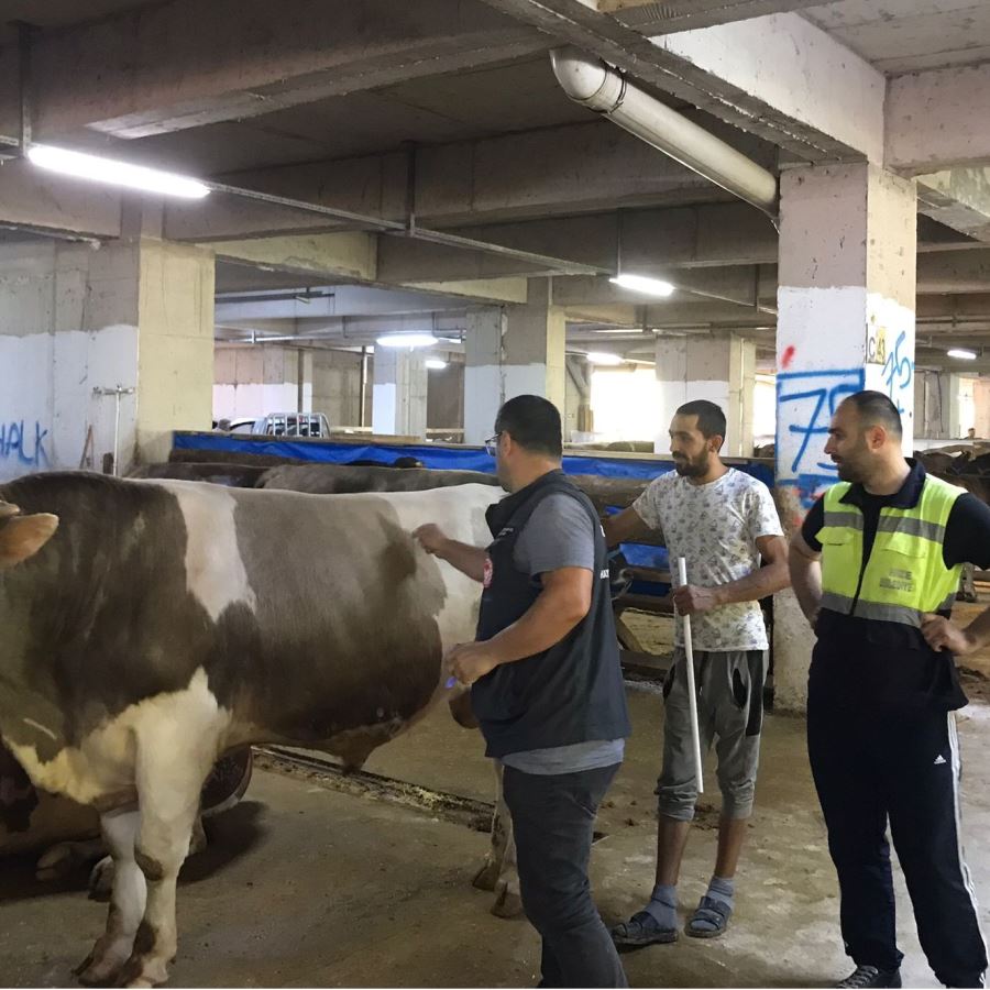 KURBAN PAZARINDA DENETİM VE DEZENFEKSİYON ÇALIŞMALARI DEVAM EDİYOR