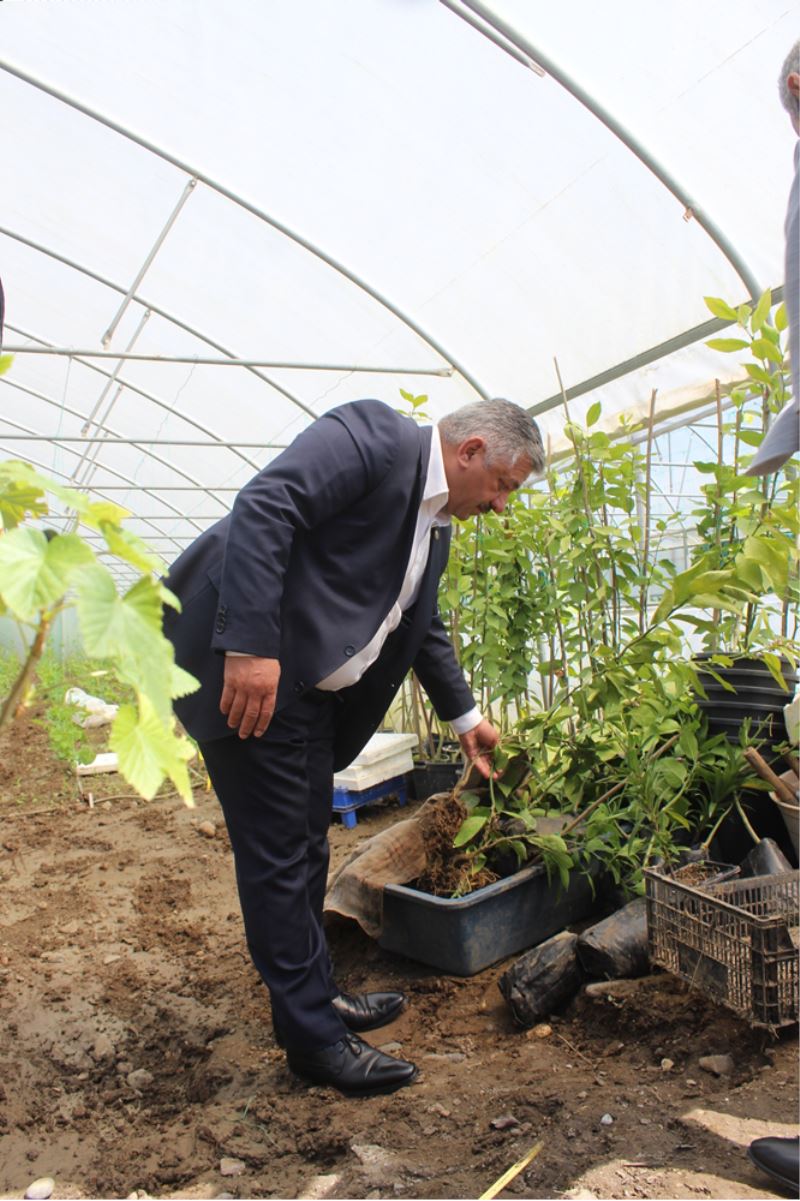 TZOB Yönetim Kurulu Üyesi Soydan, sağanaktan etkilenen tarım arazilerini inceledi