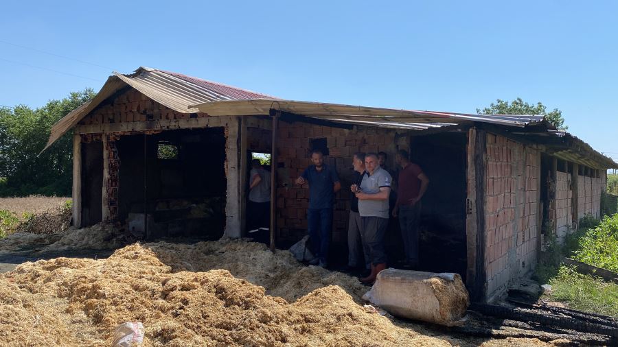 Saadet Kayseri farkını ortaya koydu