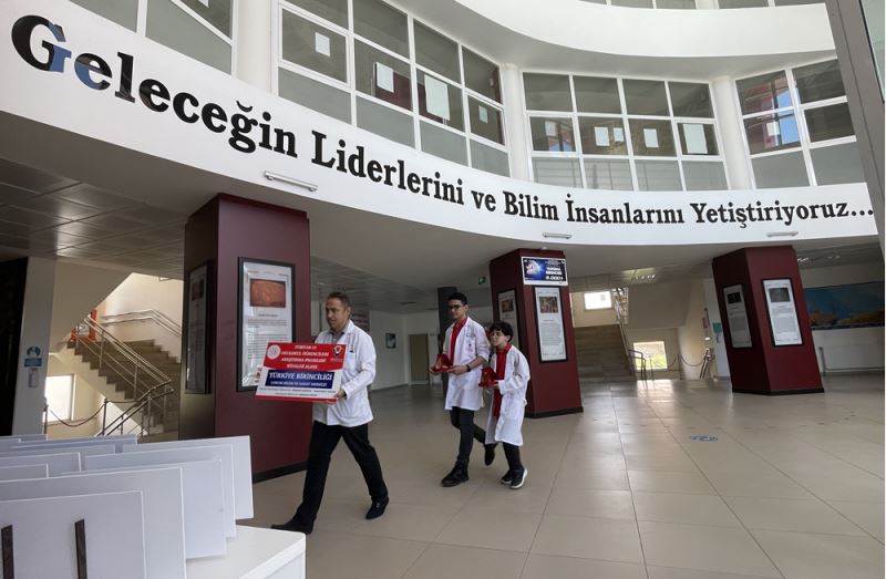 Sinekleri meyvelerden uzak tutmada zebra deseni başarılı sonuç verdi