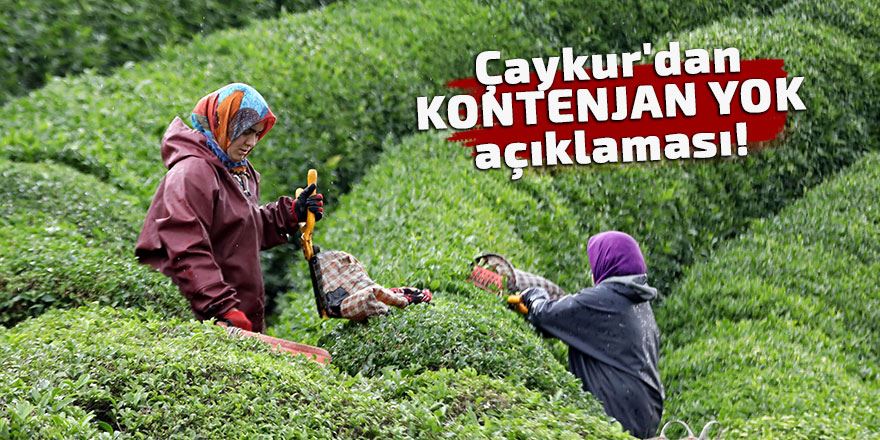 Çaykur