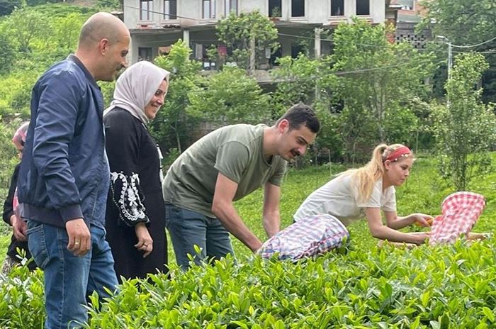 İkizdere Kaymakamı Çay serüvenini o sözlerle anlattı