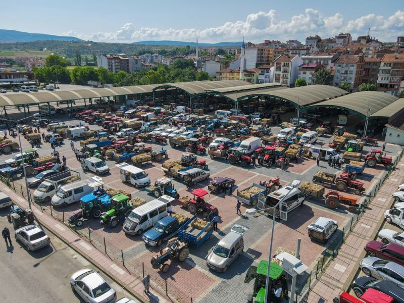 Coğrafi işaretli Taşköprü sarımsağı pazardaki yerini aldı