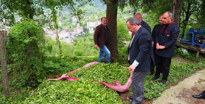 ÇAYKUR Kararından Geri Döndü 