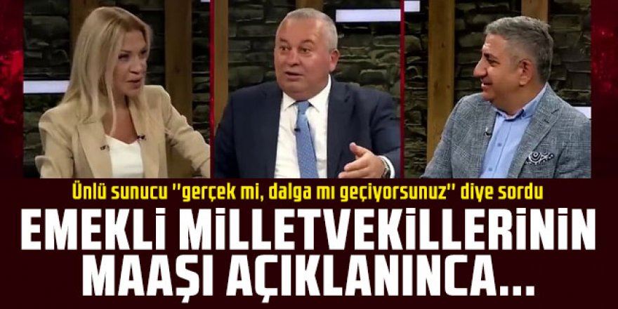 Emekli milletvekili maaşı dudak uçuklattı!