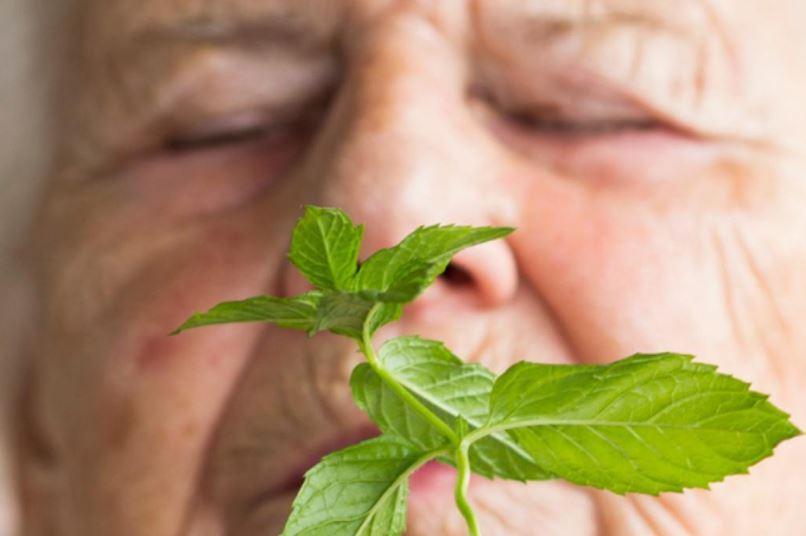 Alzheimer hastalarına ne iyi gelir?