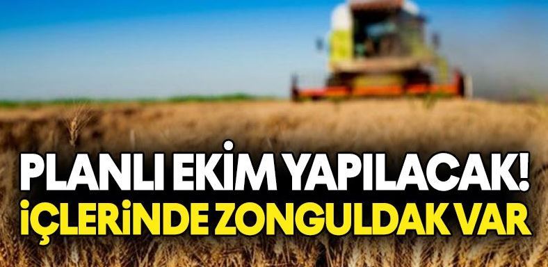 Planlı Ekim Yapılacak! İçlerinde Zonguldak Var!