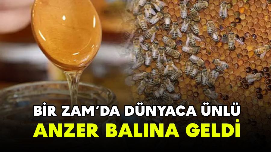 Dünyaca Ünlü Anzer Balı Fiyatında Yükseliş