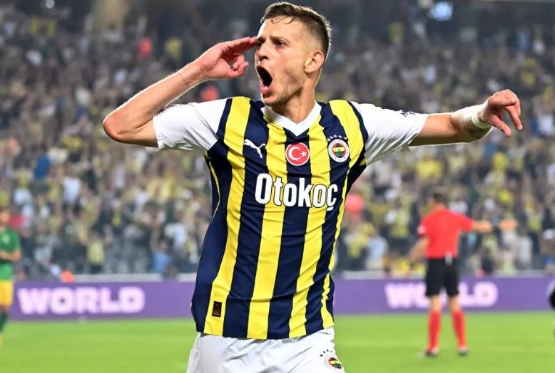 Fenerbahçe, Avrupa