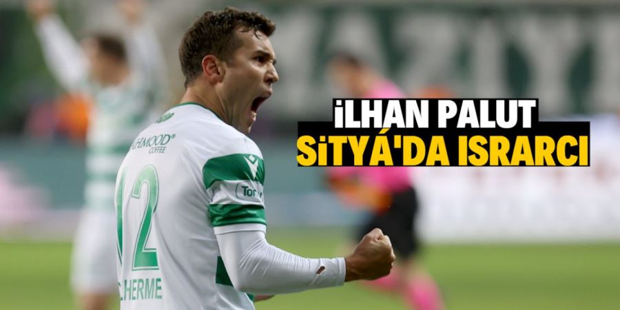 İlhan Palut, Konyaspor