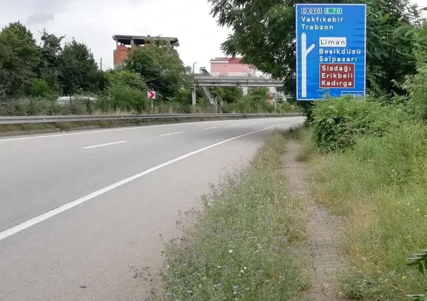 Trabzon’da yol kenarlarının bakımsız bırakılmasına vatandaşlar tepki gösterdi