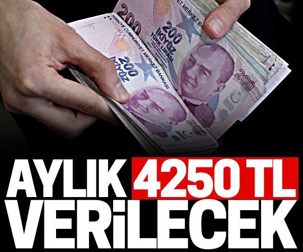 Aylık 4 bin 250 TL nakit desteği verilecek!