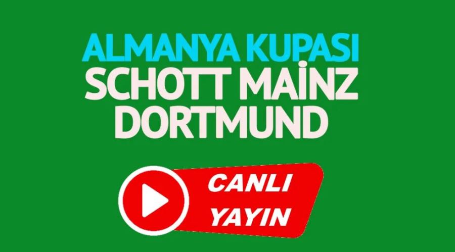 Schott Mainz Dortmund maçı canlı izle