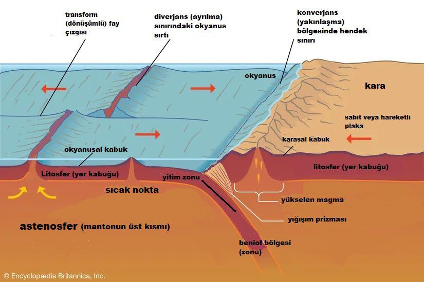  Levha hareketleri sonucu ne oluşur?