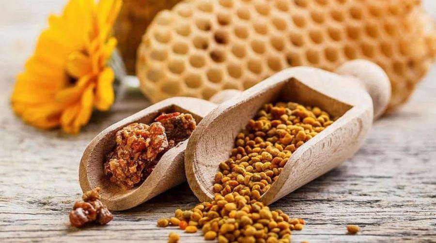 Propolis nedir? Propolisin Faydaları Nelerdir?