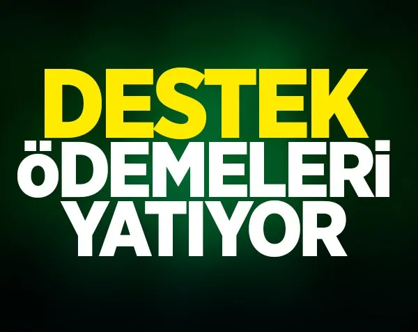 Destek ödemeleri hesaplara yatıyor