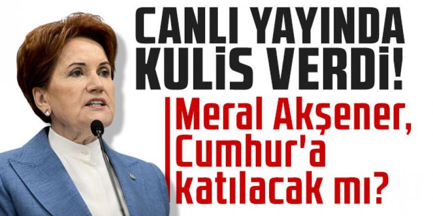 Meral Akşener, Cumhur