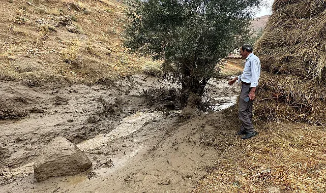 Ev ve ahırları su bastı, ekinler zarar gördü