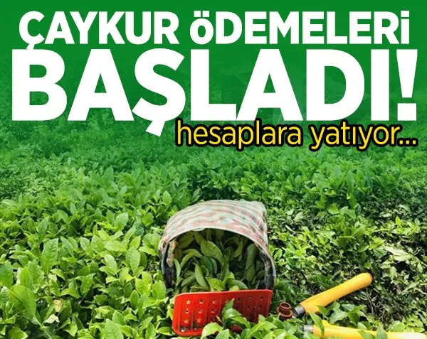 ÇAYKUR ödemeleri başladı!