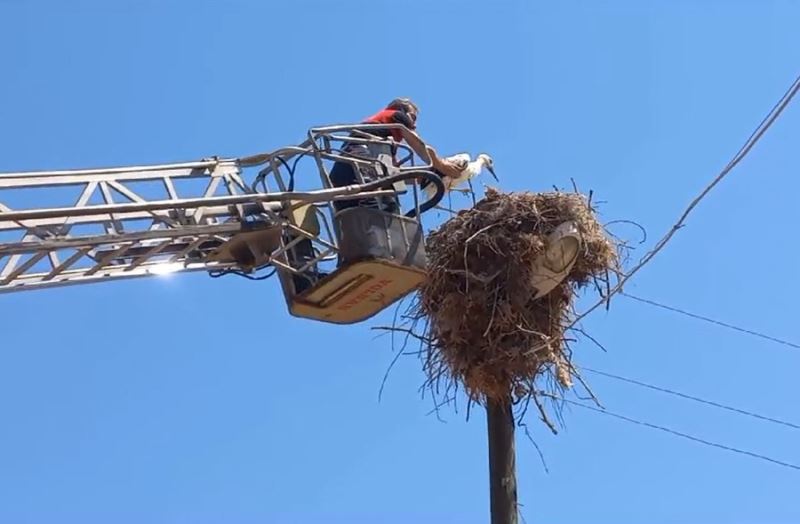 Tokat’ta ayağı ipe takılan leyleği itfaiye kurtardı