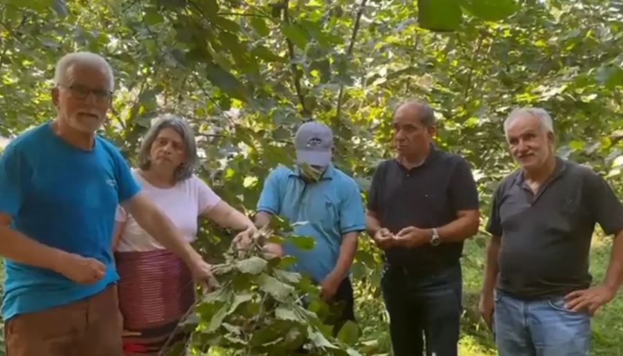 Sibel Suiçmez fındık fiyatının açıklanmamasına tepki gösterdi!