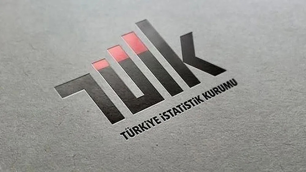 TÜİK, İnternet erişimine sahip girişimlerin oranını açıkladı