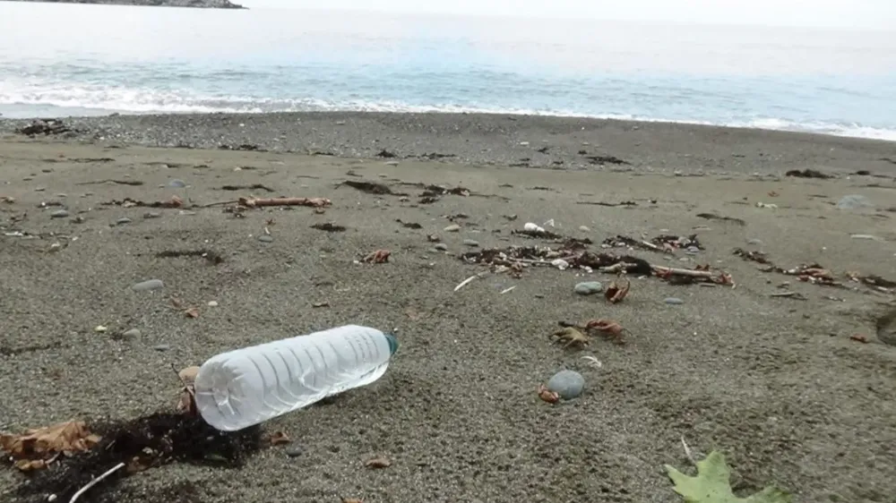 Trabzon Sahili Temizlik Günü