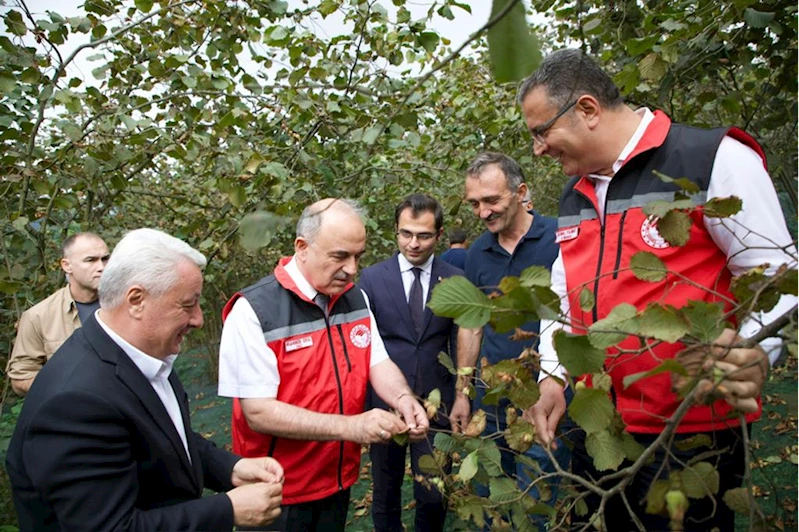 Ordu Valisi Erol, fındık üreticisini ziyaret etti