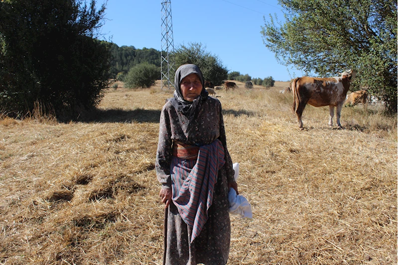 Karabüklü Radiye Teyze, ilerlemiş yaşına rağmen tarım ve hayvancılıkla uğraşıyor