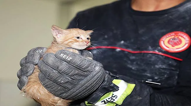 Erzurum İtfaiyesi Minik Kedi Kurtarma Operasyonuyla Göz Kamaştırdı