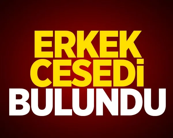 Halıya sarılı erkek cesedi bulundu!