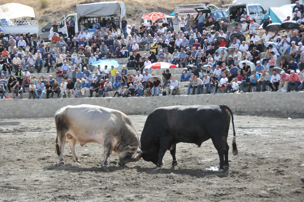 Uluslararası Tarihi İspir Panayırı