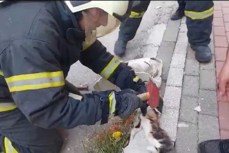 Lavaboya sıkışan yavru kedi kurtarıldı