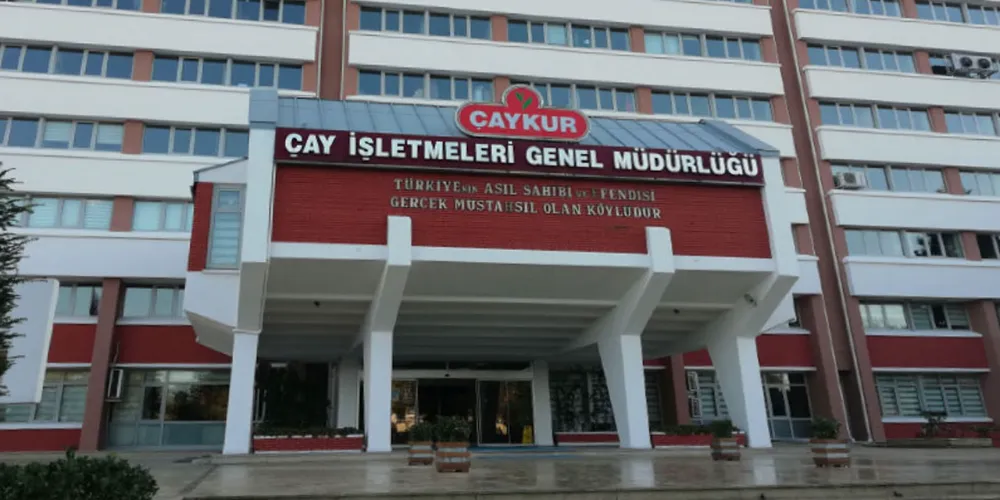 ÇAYKUR, Ağustos ve Haziran Ayları Yaş Çay Ödemelerini Yaptı