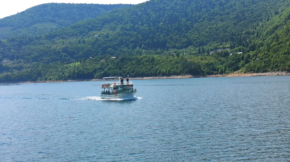 Artvin Tekne Turlarında Yaban Hayatı Heyecanı